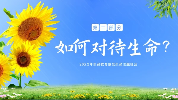 生命教育认识生命珍爱生命教育主题班会PPT课件