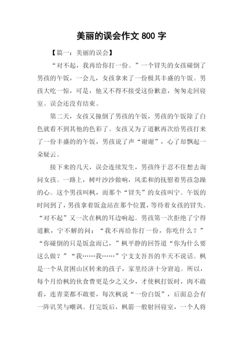 美丽的误会作文800字.docx