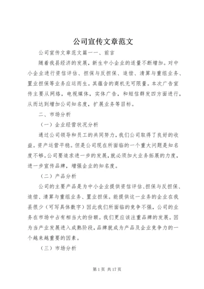公司宣传文章范文.docx