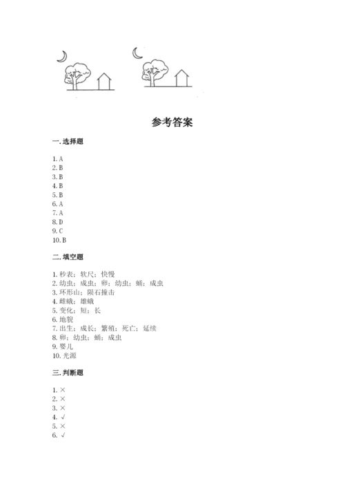 教科版科学三年级下册期末测试卷带答案（考试直接用）.docx