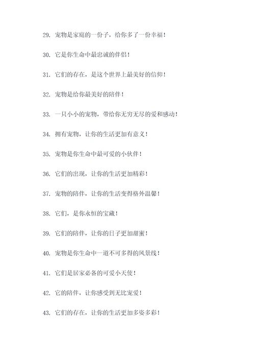 买宠物的标语
