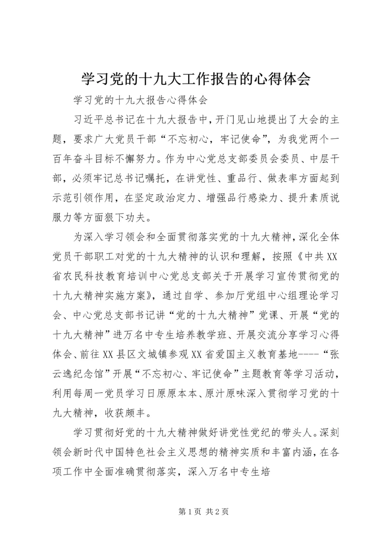 学习党的十九大工作报告的心得体会 (3).docx