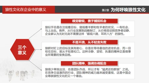 狼性文化通用PPT模板