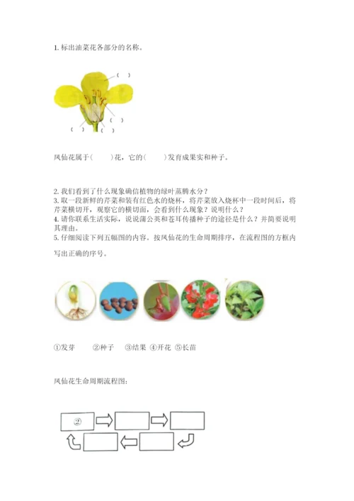 科学四年级下册第一单元《植物的生长变化》测试卷附答案（考试直接用）.docx