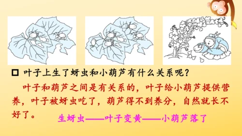 14 我要的是葫芦   课件