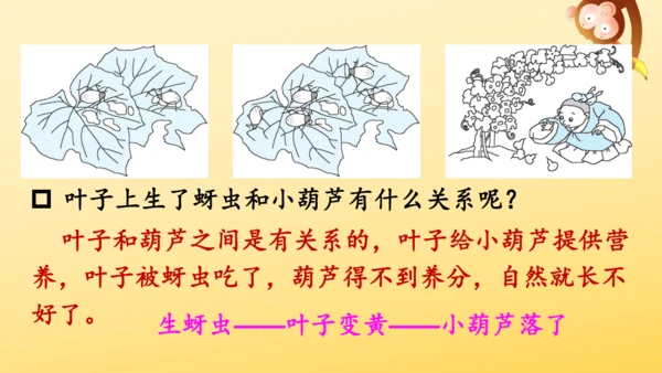 14 我要的是葫芦   课件