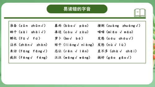 统编版2024三年级语文上册第四单元复习   课件