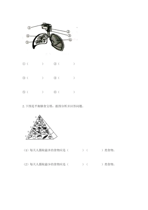 教科版四年级上册科学期末测试卷精品（名师推荐）.docx