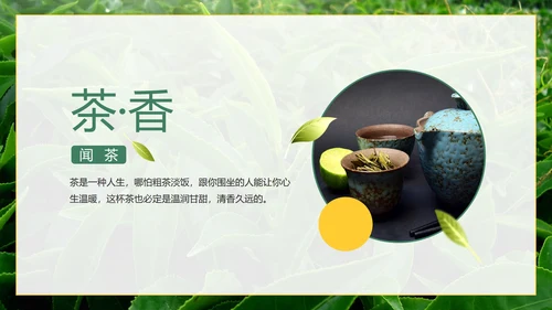 绿色实景茶园茶道科普介绍PPT模板
