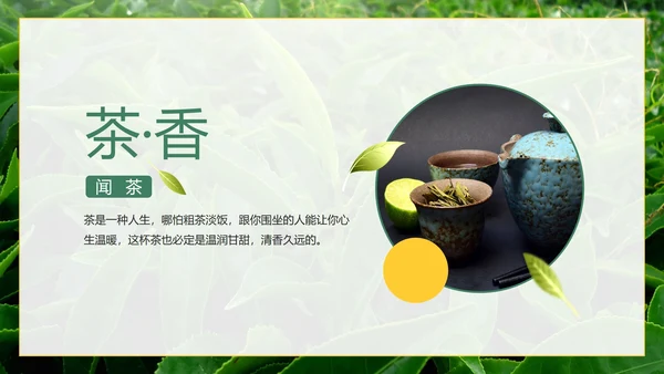绿色实景茶园茶道科普介绍PPT模板