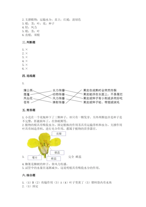 教科版四年级下册科学第一单元《植物的生长变化》测试卷（考点精练）.docx