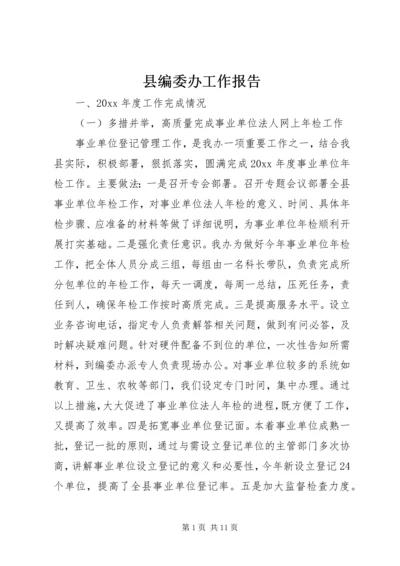 县编委办工作报告.docx