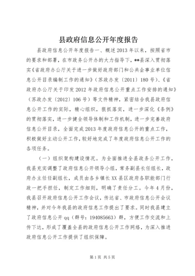 县政府信息公开年度报告.docx