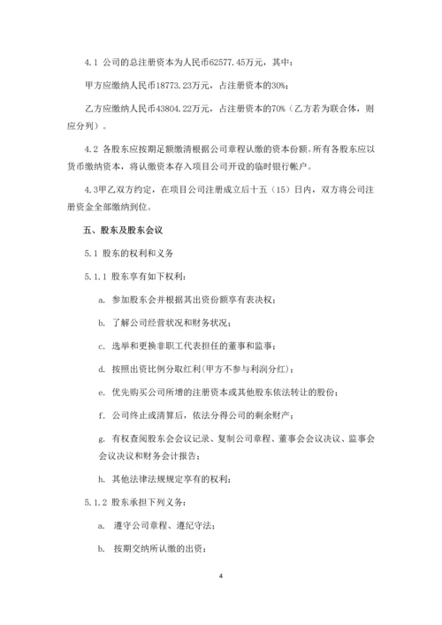 市地下综合管廊PPP项目项目公司股东协议合同.docx
