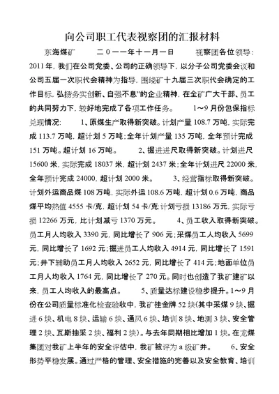 向公司职工代表视察团的汇报材料