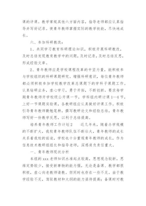 培养青年教师工作计划.docx