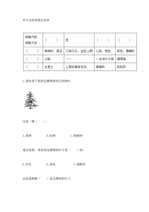 教科版科学一年级上册第一单元《植物》测试卷附答案（b卷）.docx