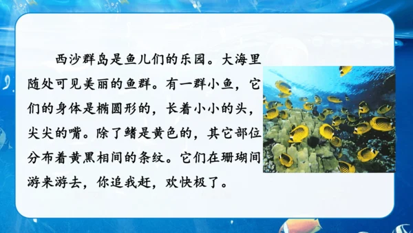 第18课《富饶的西沙群岛》课件