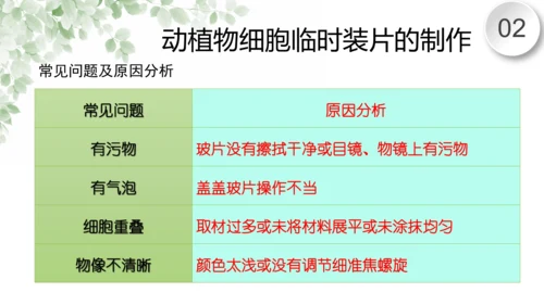 第一章 细胞是生命活动的基本单位（复习课件）-2023-2024学年七年级生物上学期期末复习知识梳理