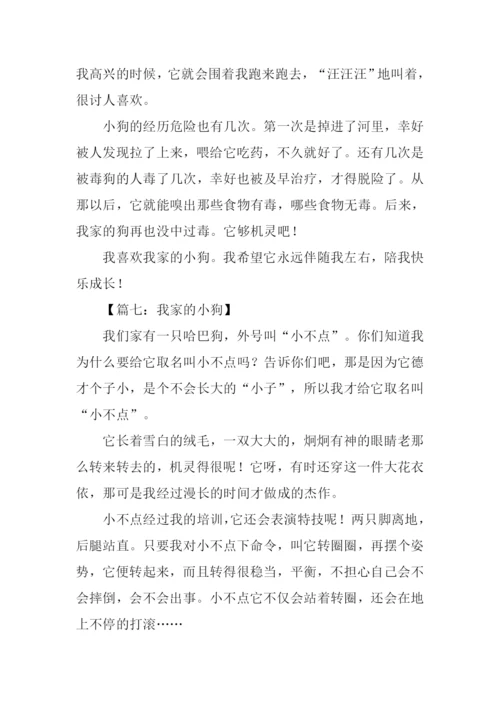 关于小狗的作文结尾.docx