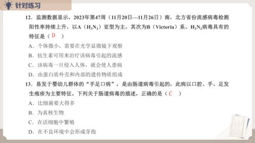 人教版生物八年级上册2.3 细菌、真菌和病毒 本章复习课件(共23张PPT)+视频素材