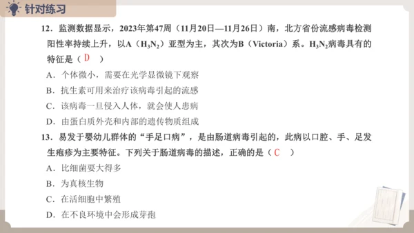 人教版生物八年级上册2.3 细菌、真菌和病毒 本章复习课件(共23张PPT)+视频素材