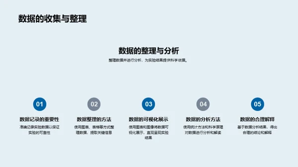 科学实验全程解析