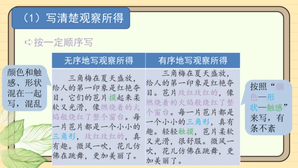统编版语文三年级下册2024-2025学年度第一单元习作：我的植物朋友（课件）