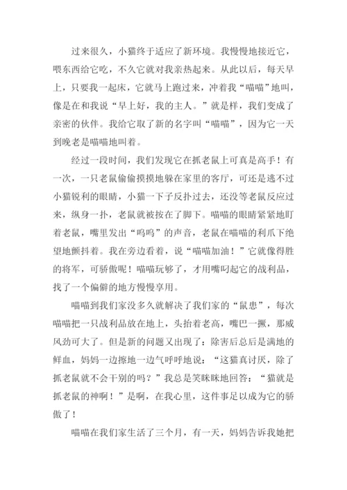 写小动物的作文500字.docx