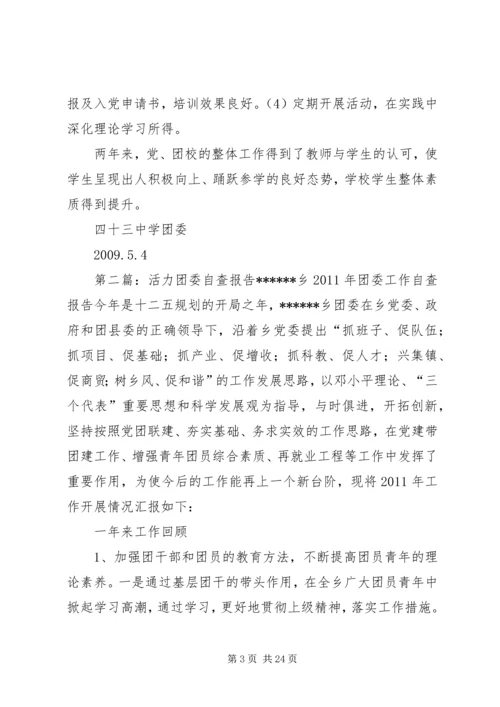 团委自查报告5篇范文.docx