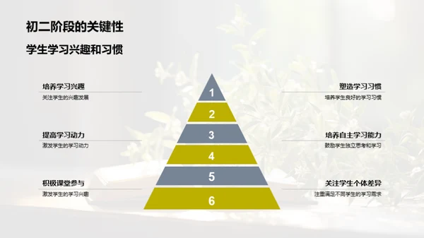 初二教育新视野