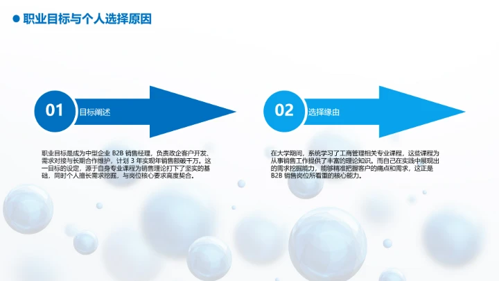 工商管理专业大学生求职个人能力综合展示职业生涯规划