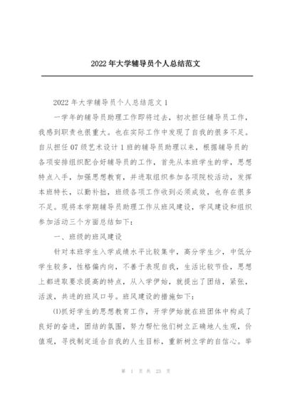 2022年大学辅导员个人总结范文.docx