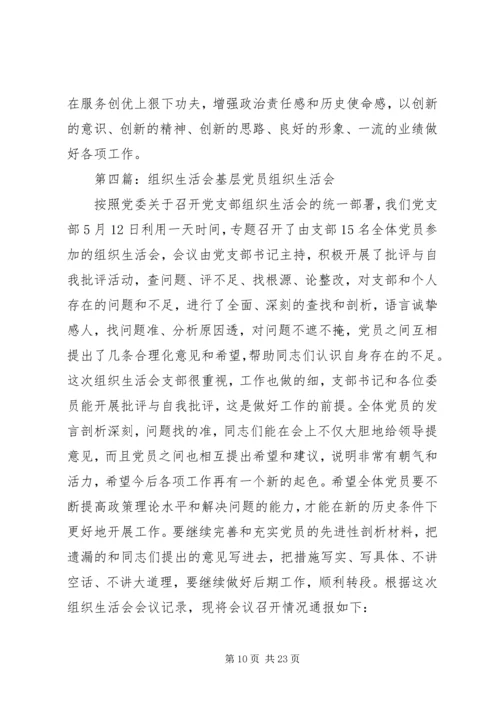 巡视整改专题组织生活会.docx