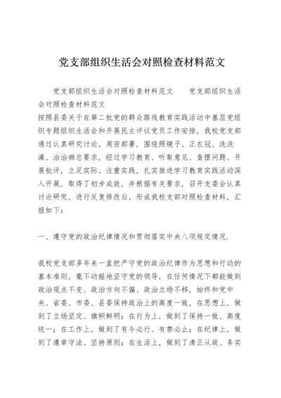 党支部组织生活会对照检查材料范文.docx