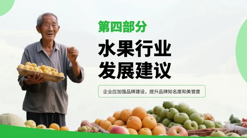 绿色扁平风水果销售行业发展分析PPT