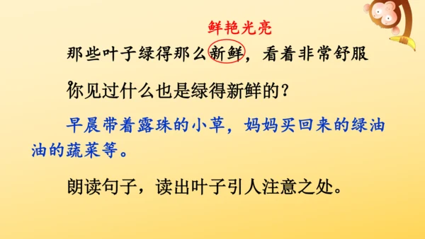 10 爬山虎的脚   课件