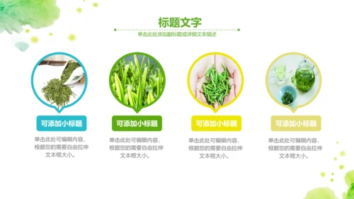 绿茶红茶茶叶茶厂茶文化茶道春茶PPT模板