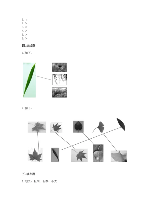 教科版科学一年级上册第一单元《植物》测试卷精品【精选题】.docx