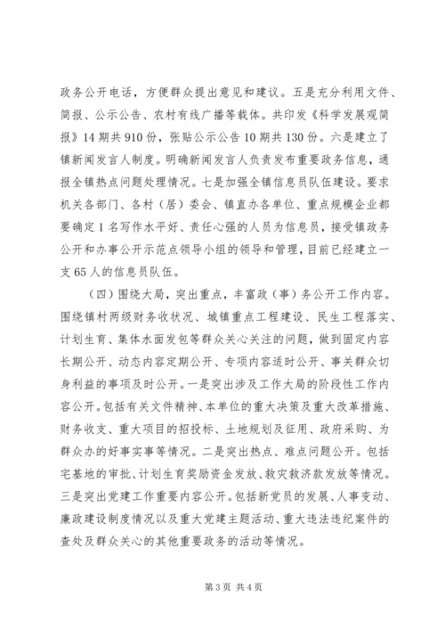 乡镇政务公开、办事公开示范点建设工作自查报告.docx