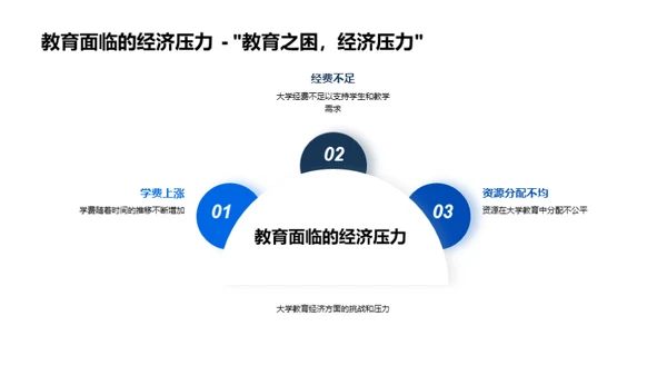 大学教育全景解析