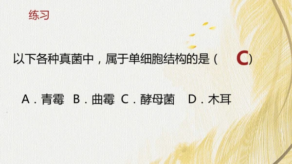 人教版（2024）七年级上册2.3.3真菌(共27张PPT)+视频素材