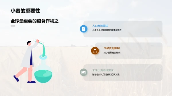 科创引领小麦种植新未来