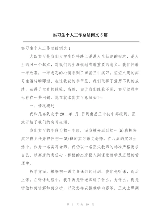 实习生个人工作总结例文5篇.docx