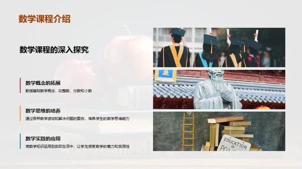 四年级学习全解析