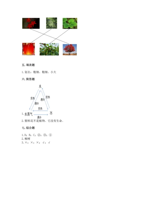 教科版科学一年级上册第一单元《植物》测试卷（实验班）.docx