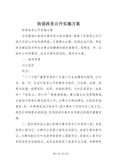 街道政务公开实施方案.docx