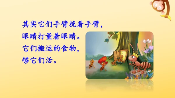 11 一块奶酪   课件