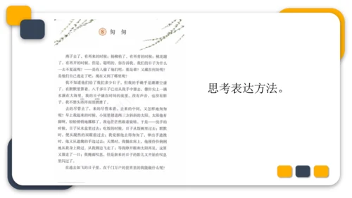 统编版六年级语文下册第三单元教材分析课件