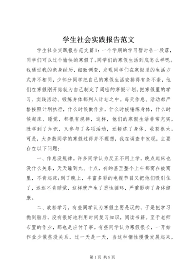 学生社会实践报告范文.docx